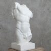 ESCULTURA TORAZO