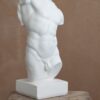 ESCULTURA TORAZO - Imagen 2