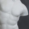 ESCULTURA TORAZO - Imagen 4