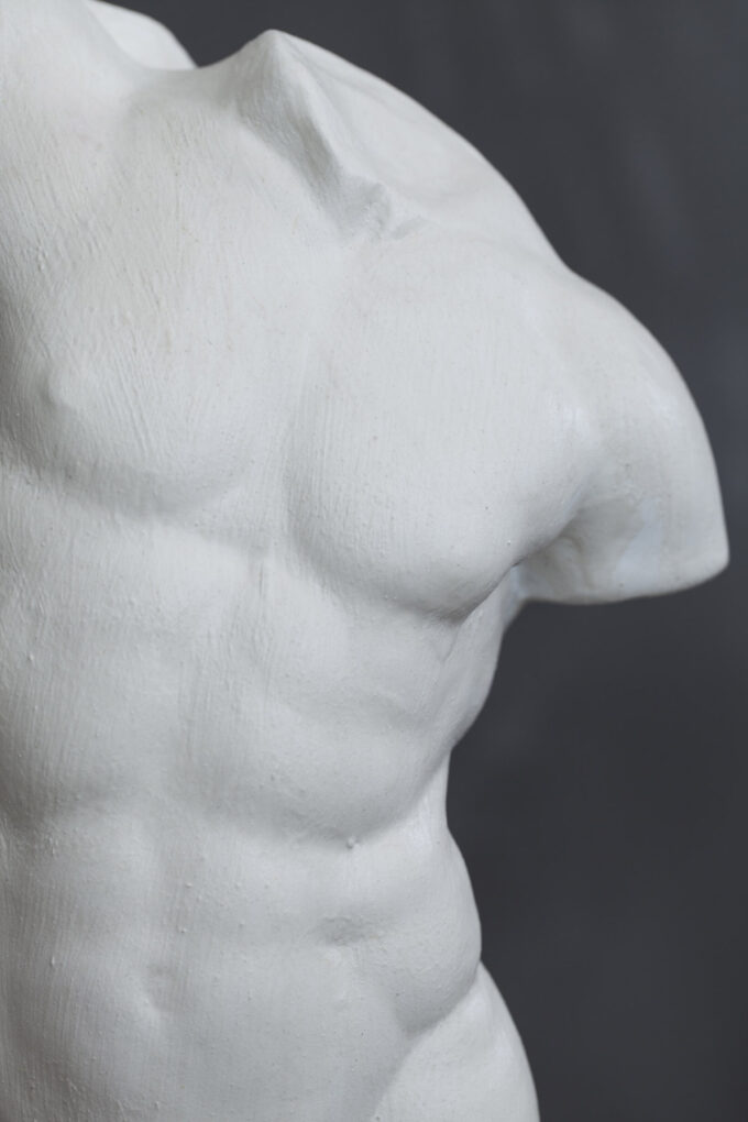 ESCULTURA TORAZO - Imagen 4
